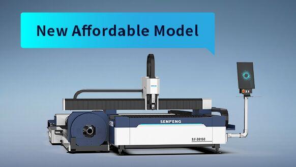 New Affordable Model in 2025